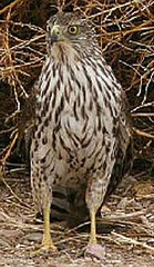 ma002-1.jpg