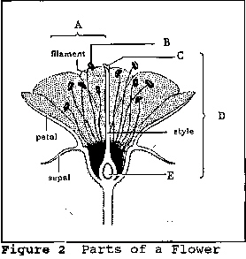 index_files/i0110000.jpg