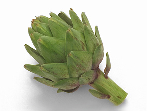 artichoke 50A.jpg