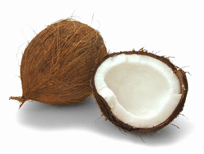 cocconut 11A.jpg