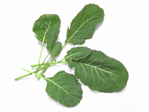 collard greens 66C.jpg