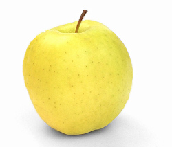 golden delicious apple 1E.jpg