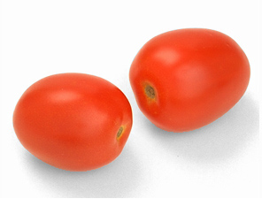 tomato_roma_italian 87D.jpg